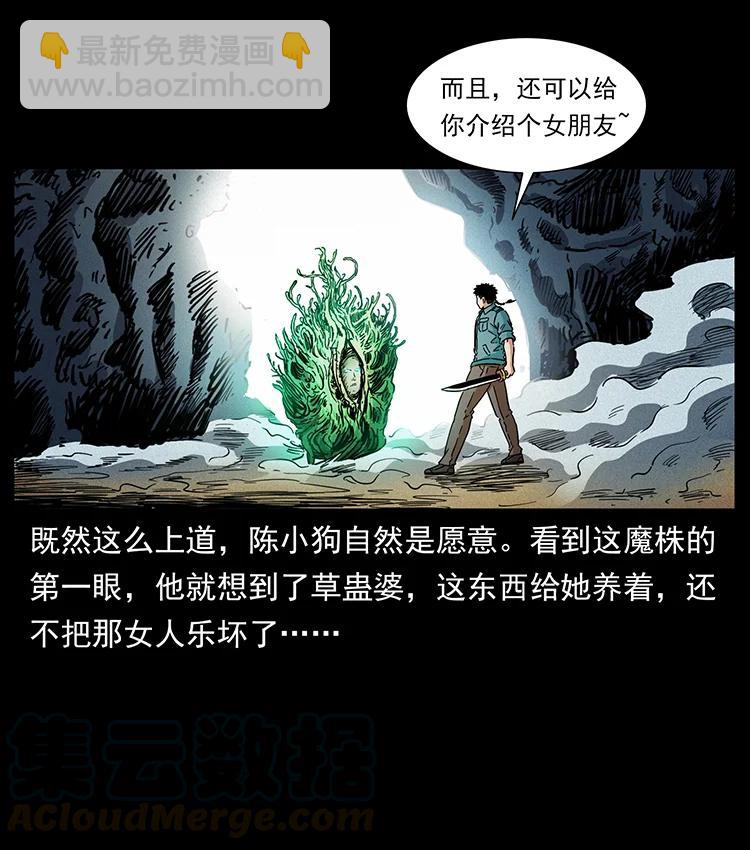 390 斩草除根85