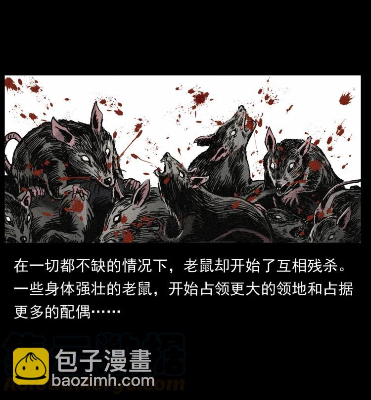 394 殇45