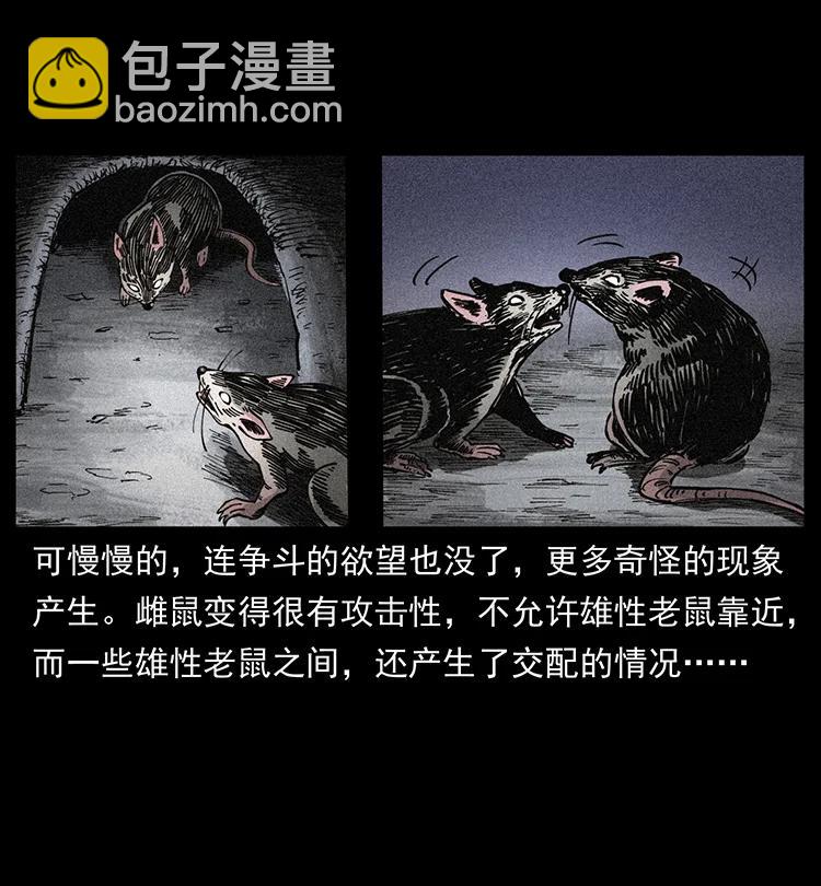 394 殇50