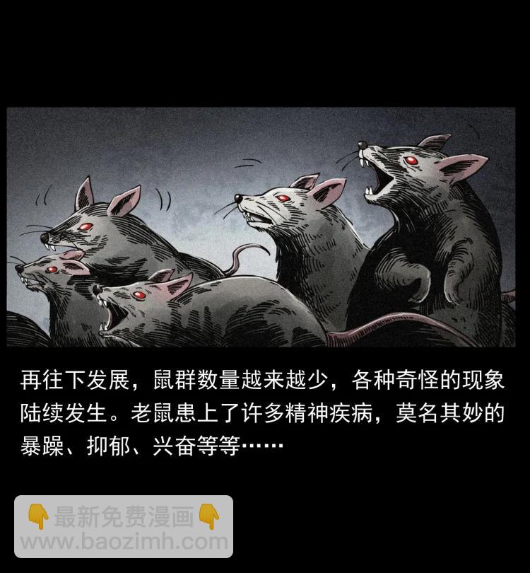 394 殇51