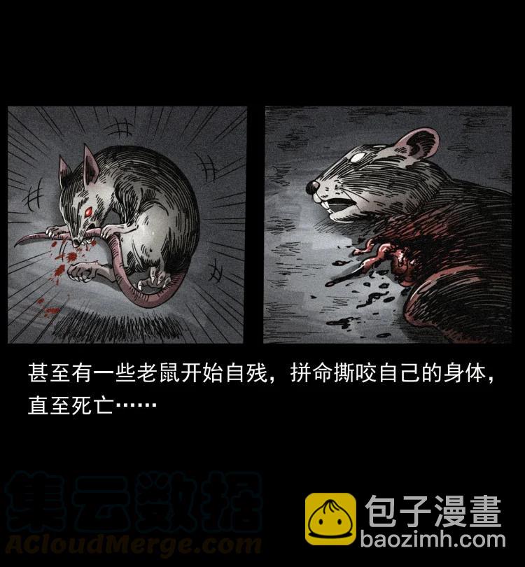 394 殇52