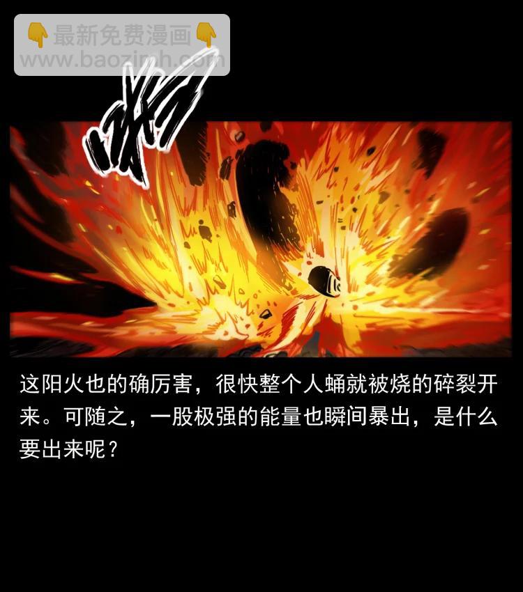 399 人之蛹81