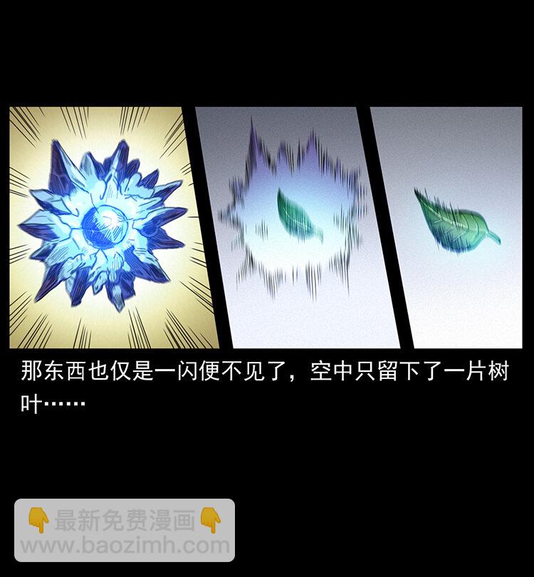 400 一花一世界，一叶一菩提79