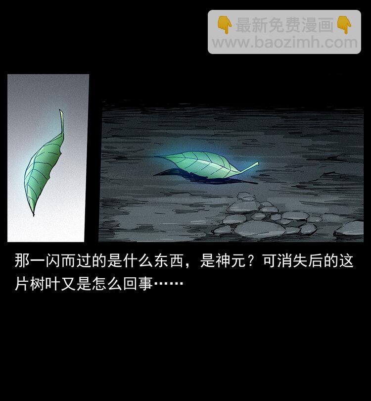 400 一花一世界，一叶一菩提81