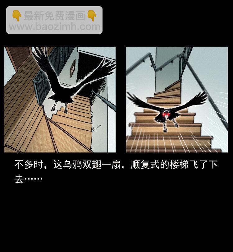 406 安稳日子81