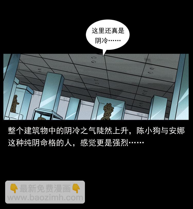 419 马先生的博物馆45
