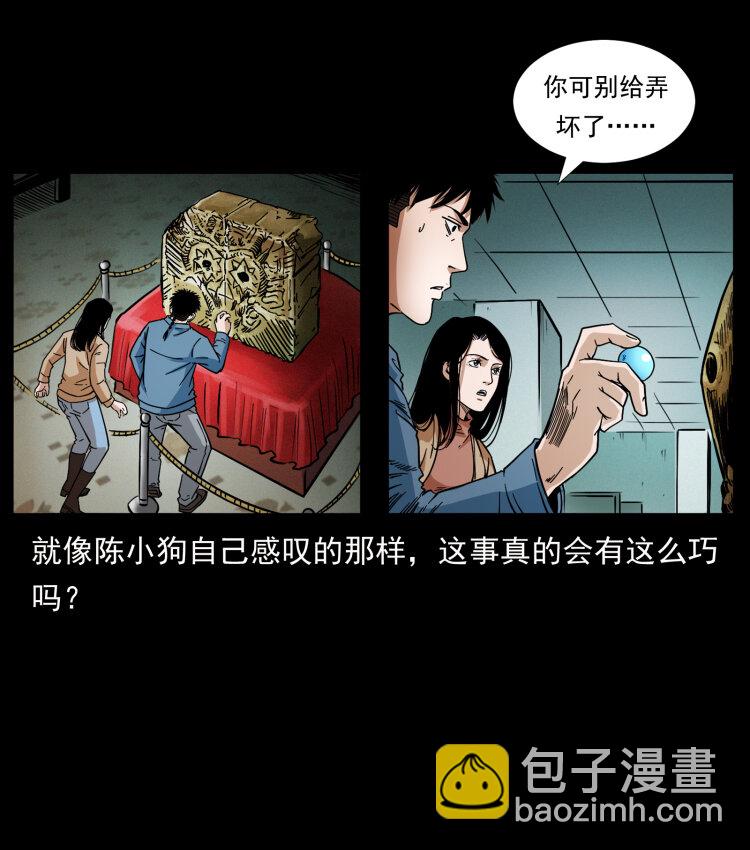 419 马先生的博物馆59