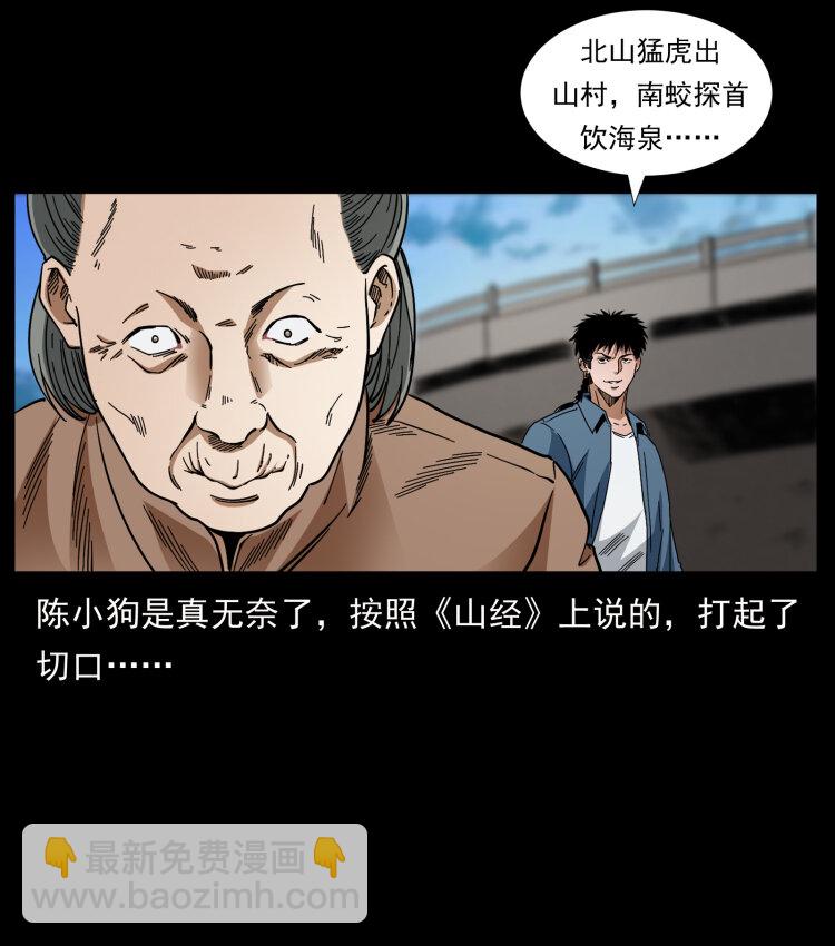 426 南国，我来了！66