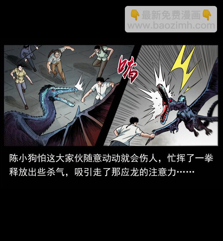 440 应天龙28