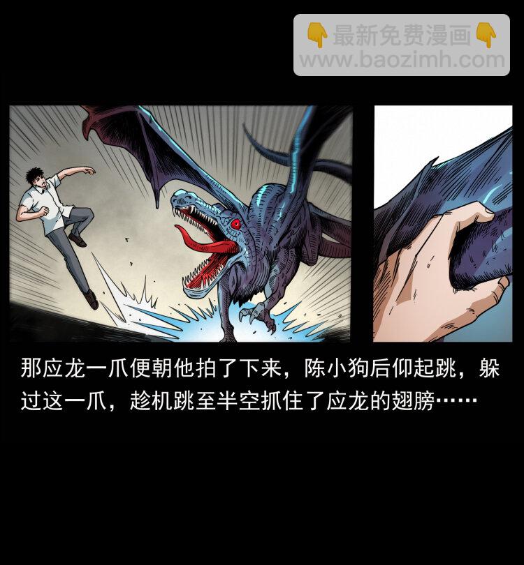 440 应天龙29
