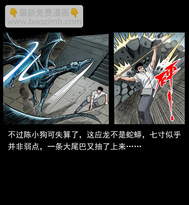 440 应天龙63