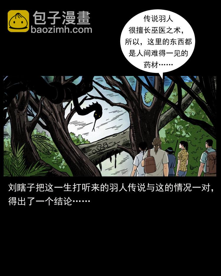 441 羽人之境11