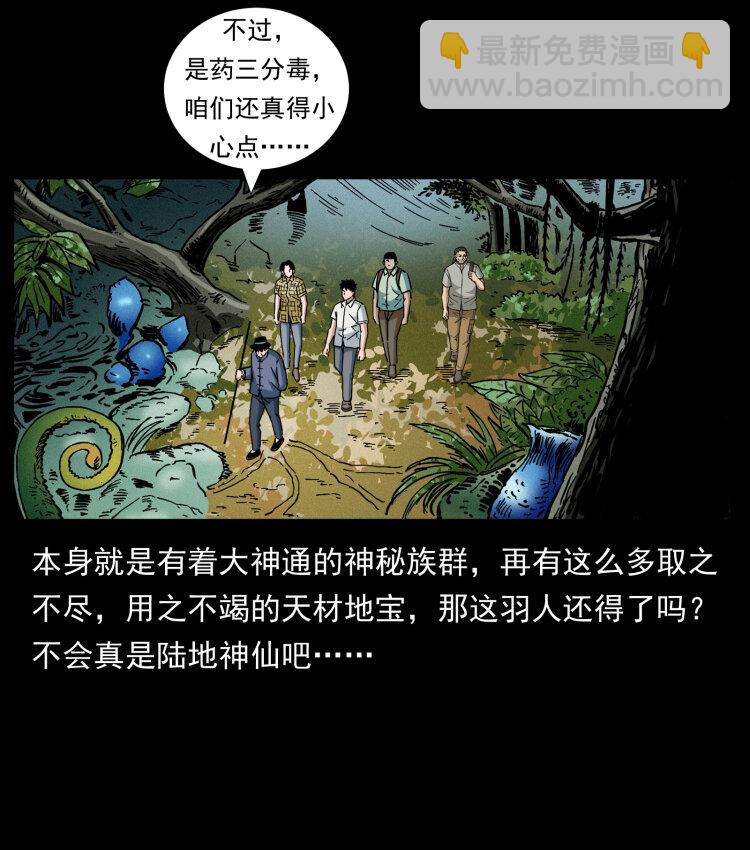 441 羽人之境13