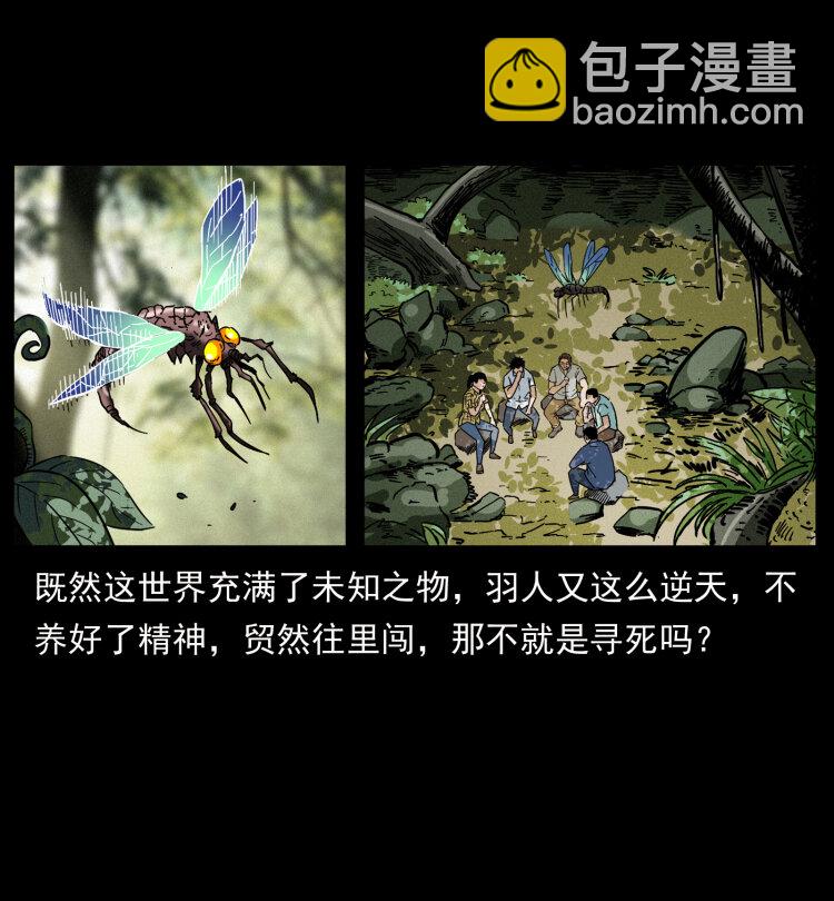 441 羽人之境15