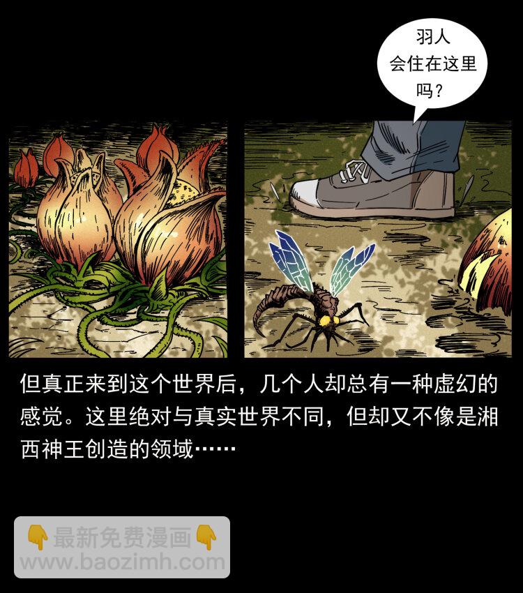 441 羽人之境2