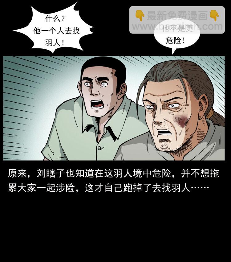 442 羽人现身5