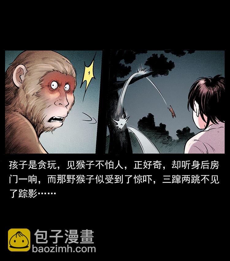 外传 洛生传1 猎妖33