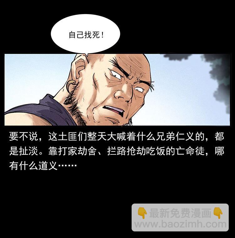 外传 洛生传2 土匪，土匪10