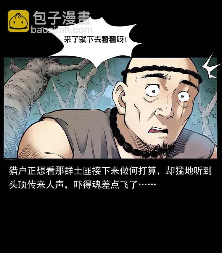 外传 洛生传2 土匪，土匪17
