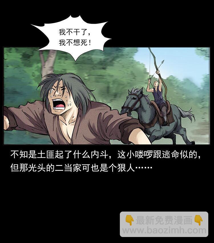 外传 洛生传2 土匪，土匪5
