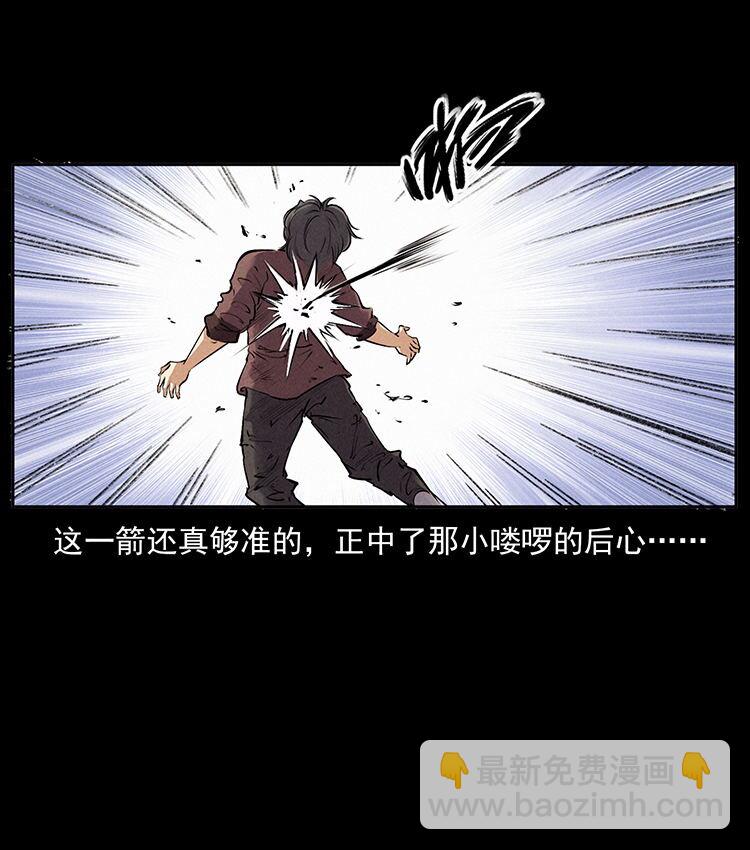 外传 洛生传2 土匪，土匪7