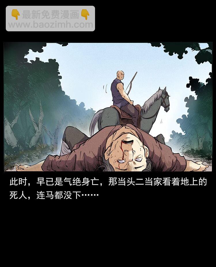 外传 洛生传2 土匪，土匪9