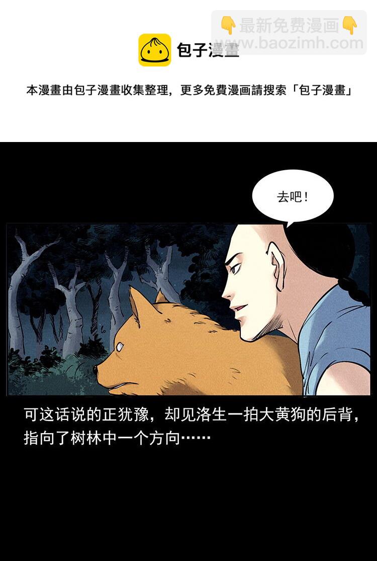 外传 洛生传3 剿匪17