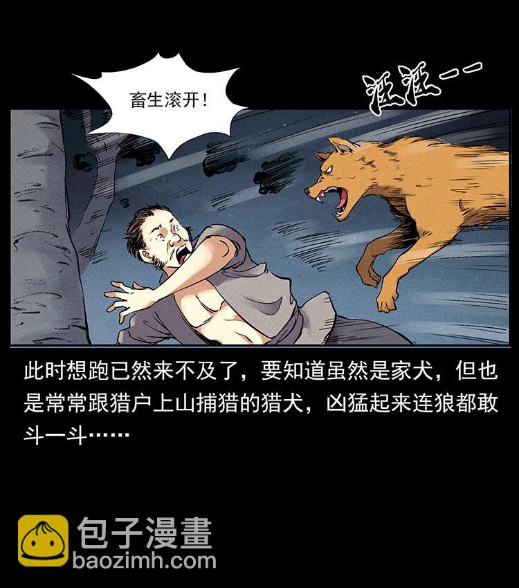 外传 洛生传3 剿匪19