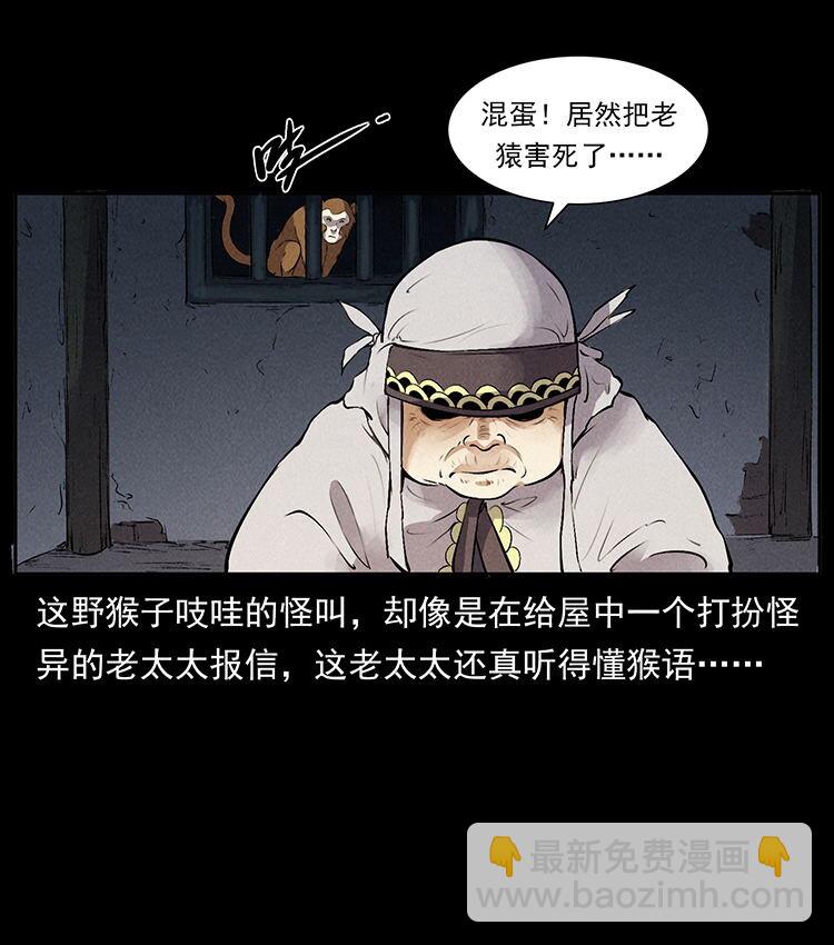 外传 洛生传3 剿匪2
