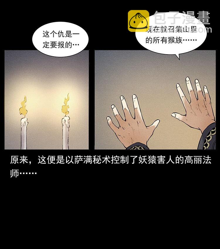 外传 洛生传3 剿匪3