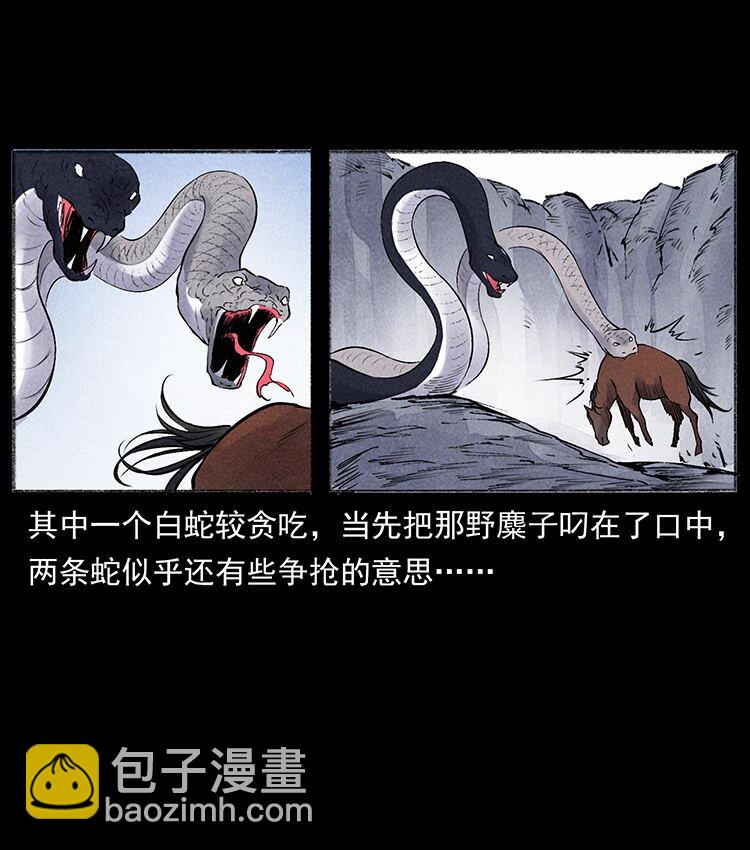 外传 洛生传5 引蛇出洞63