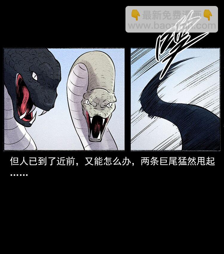 外传 洛生传5 引蛇出洞79