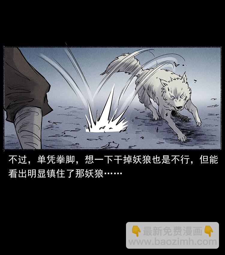 外传 洛生传7 黑白双蛇47