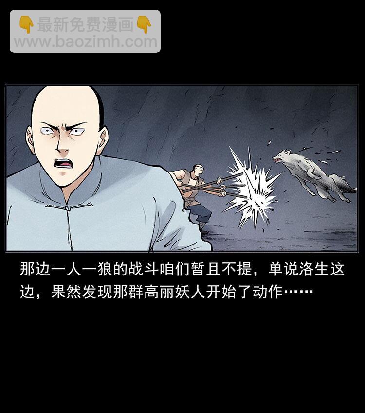 外传 洛生传7 黑白双蛇57