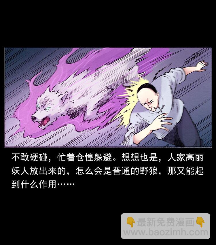 外传 洛生传7 黑白双蛇66