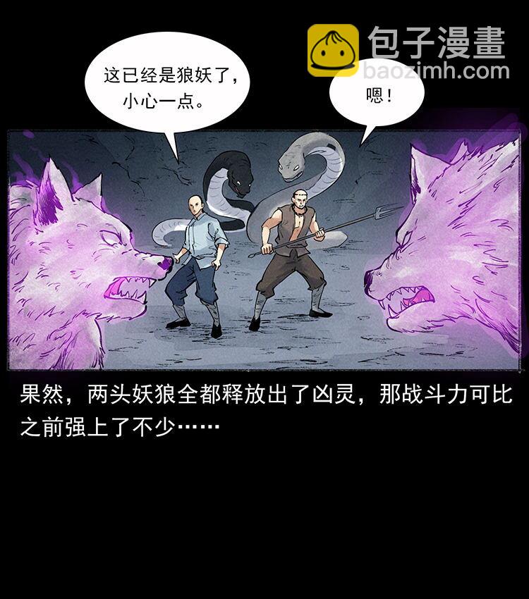 外传 洛生传7 黑白双蛇69