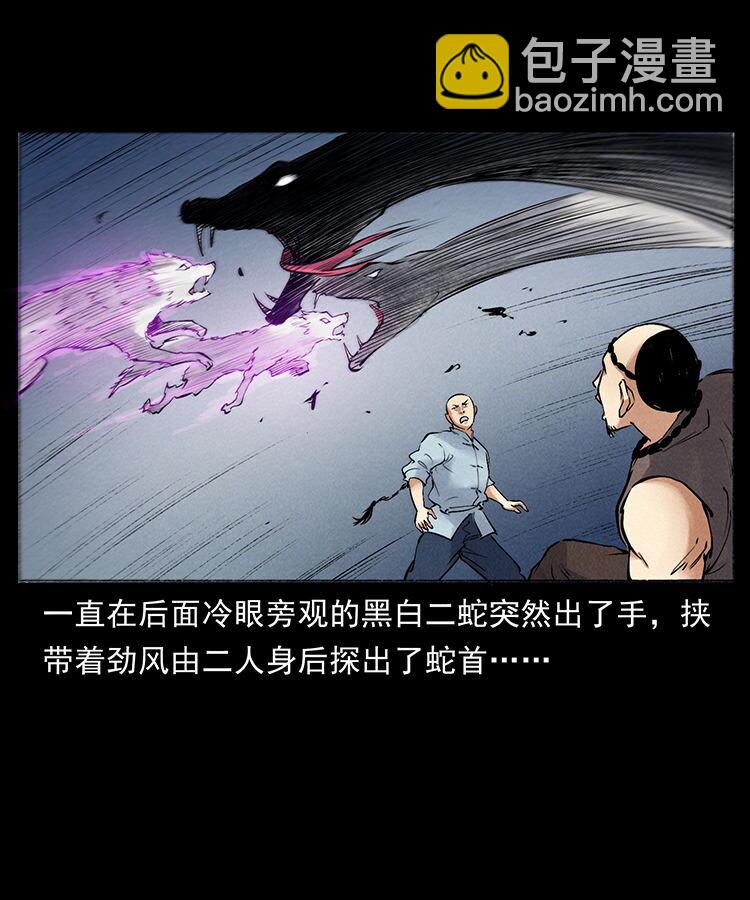 外传 洛生传7 黑白双蛇72