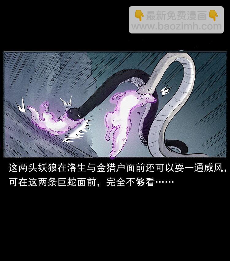 外传 洛生传7 黑白双蛇73