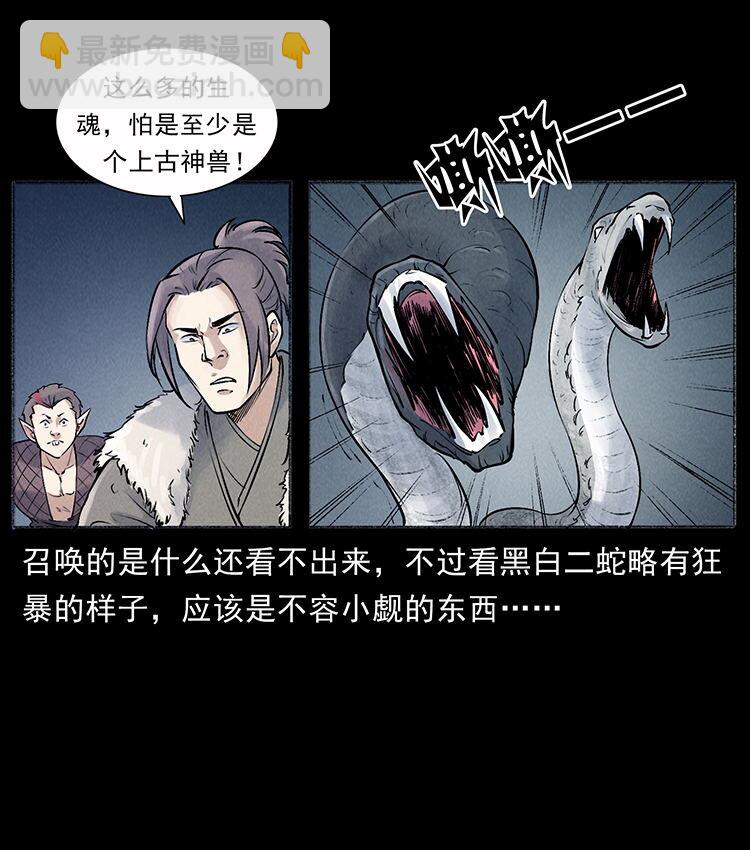外传 洛生传7 黑白双蛇79