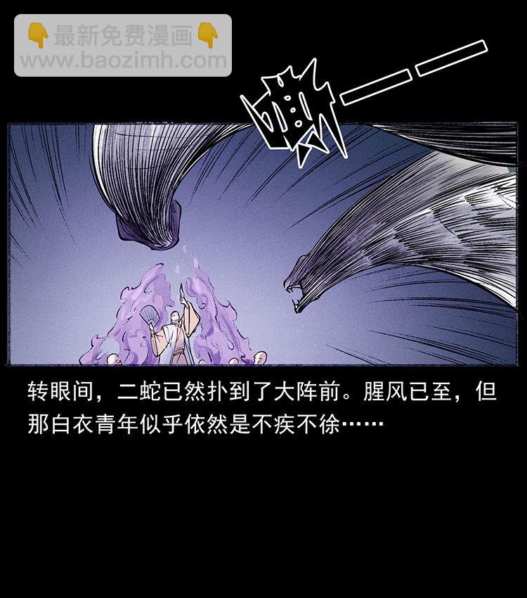 外传 洛生传7 黑白双蛇80