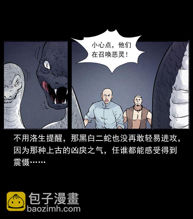 外传 洛生传7 黑白双蛇84