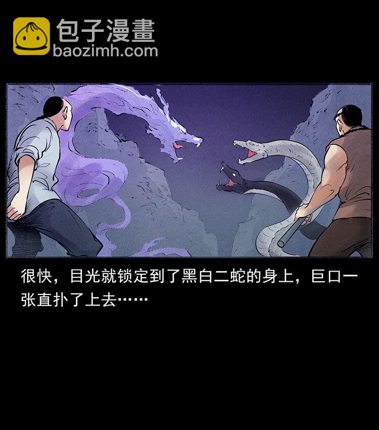 外传 洛生传7 黑白双蛇89