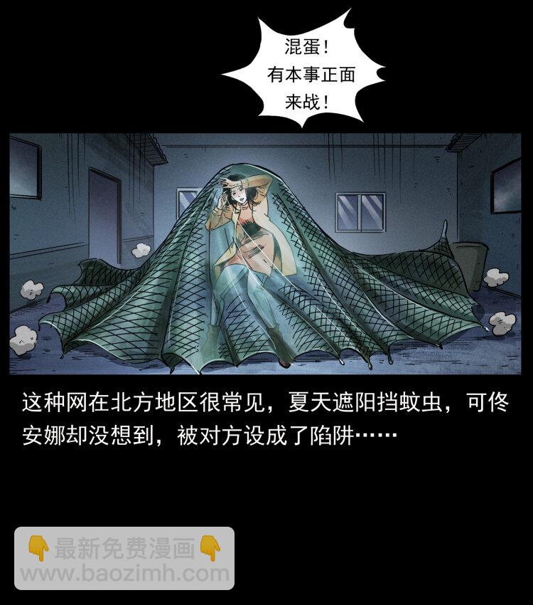 453 追踪53