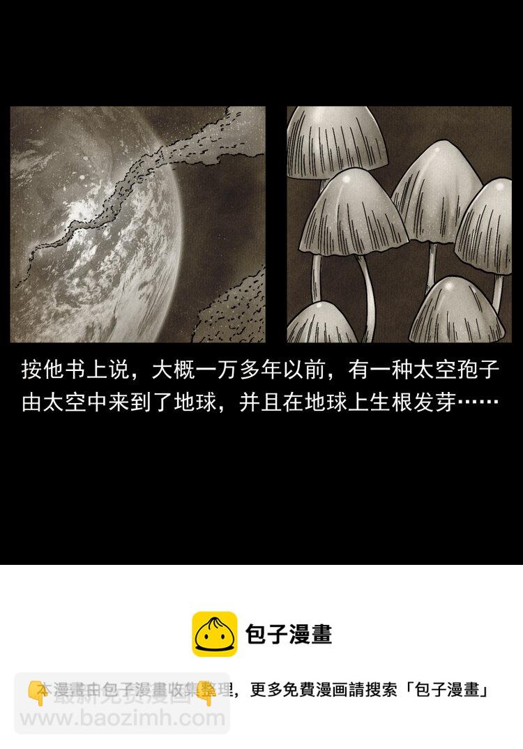 460 你才是猴子变的！24