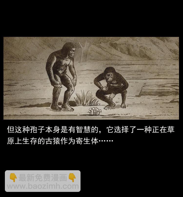 460 你才是猴子变的！25