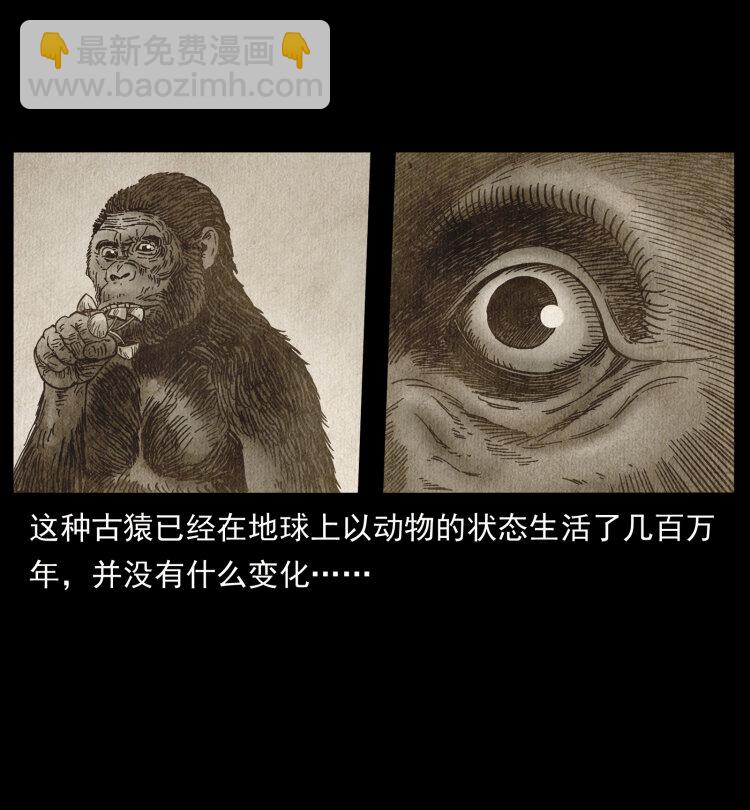 460 你才是猴子变的！26