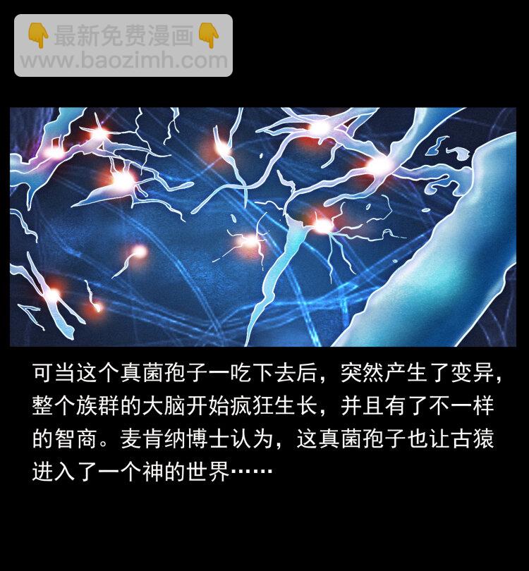 460 你才是猴子变的！27