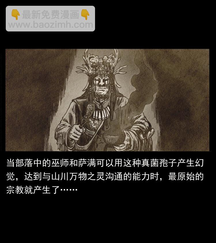 460 你才是猴子变的！29