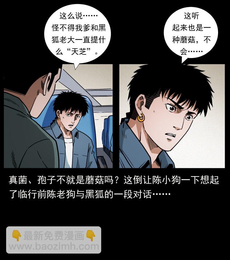 460 你才是猴子变的！33