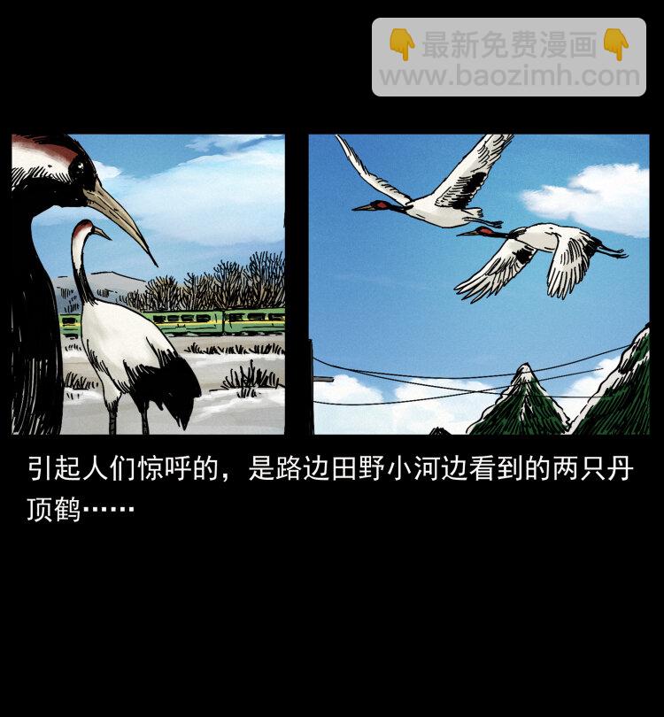 461 极地恶灵81